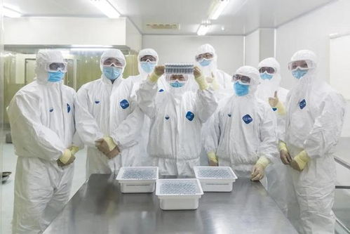 科技抗疫雙喜臨門 皖企新冠疫苗獲臨床批準(zhǔn)，北京信息技術(shù)服務(wù)同步啟動(dòng)