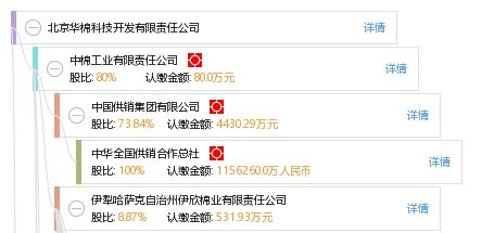 北京華棉科技 以專業IFRS之力與大查客戶端驗證深化信息技術服務渠道可靠性
